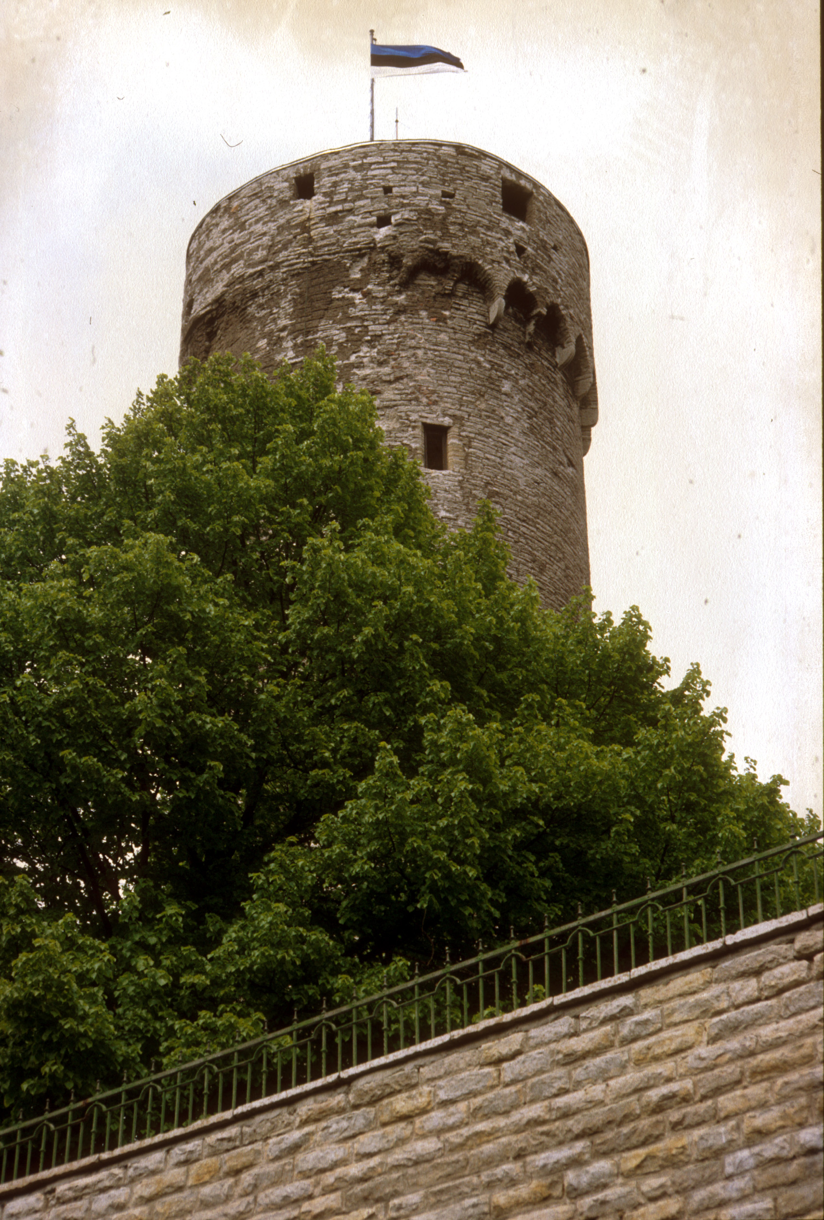 Pikk Herman – en stolt symbol för Tallinn.